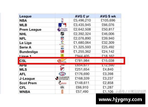NFL和NBA的顶级球员薪资排行及其影响因素分析